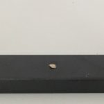 60486.JPG
